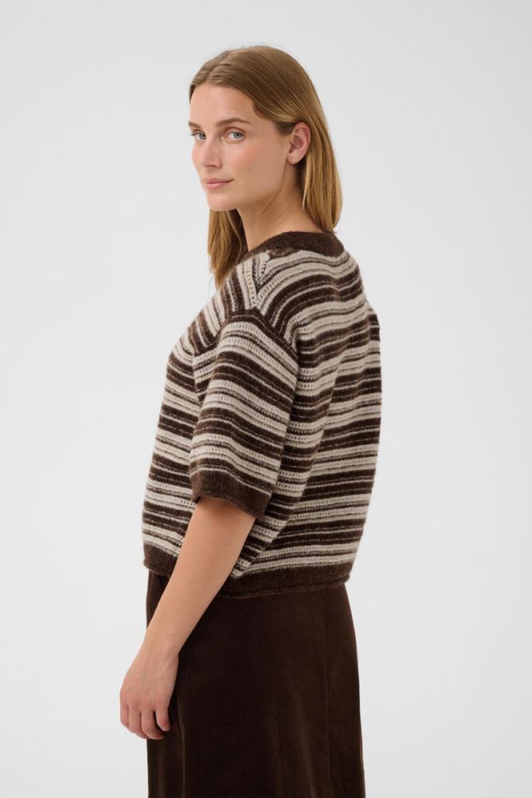  305375 BROWN/FR